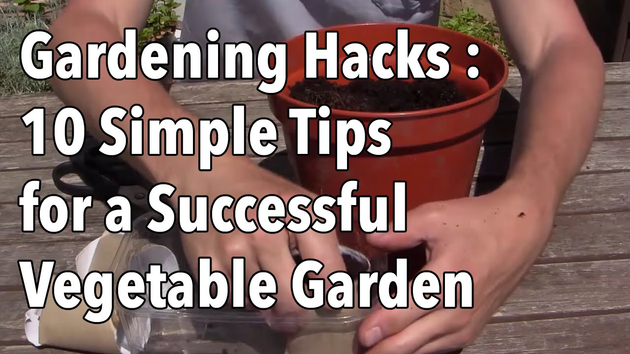 Gardening Hacks – 10 Simple Tips for a Successful Vegetable Garden