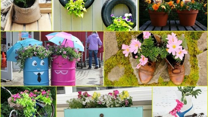 Unique Container Gardening Ideas Exposed Gardeners Advice