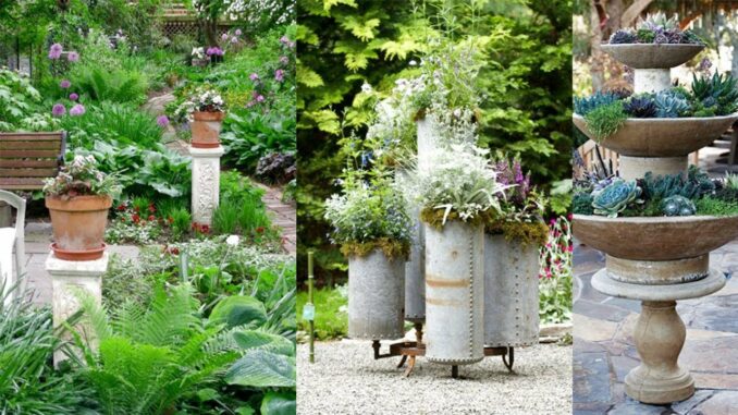 Creative Container Gardening