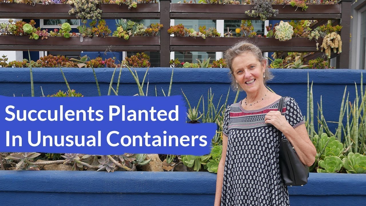 Best Container Gardening Ideas