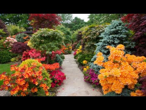 Designing a Beautiful Flower Garden