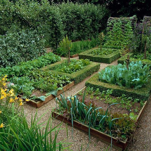 Vegetable Gardening Ideas – How to Create Garden Ideas From Your Own Backyard