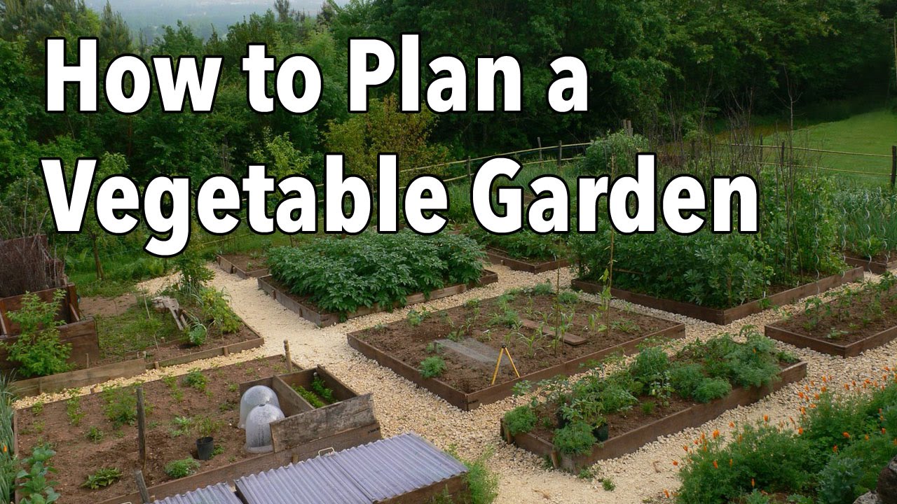 A Few Large Vegetable Gardening Ideas