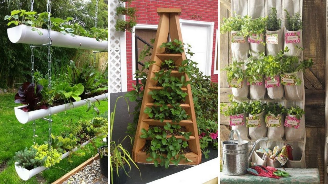Small Veggie Garden Ideas Can Take You Outside