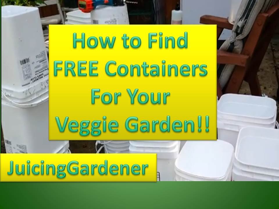 5 Great Container Vegetable Gardening Ideas