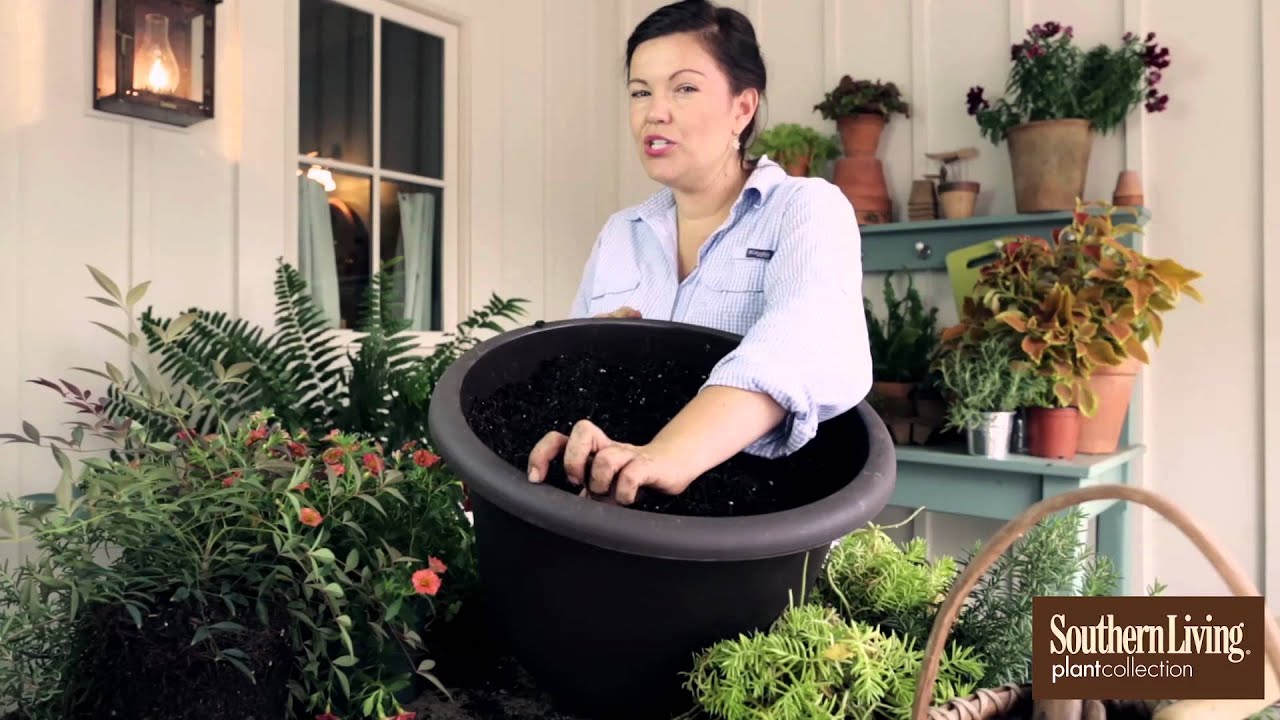 Container Gardening Ideas – How To Get Started With Planting Seeds In A Porch
