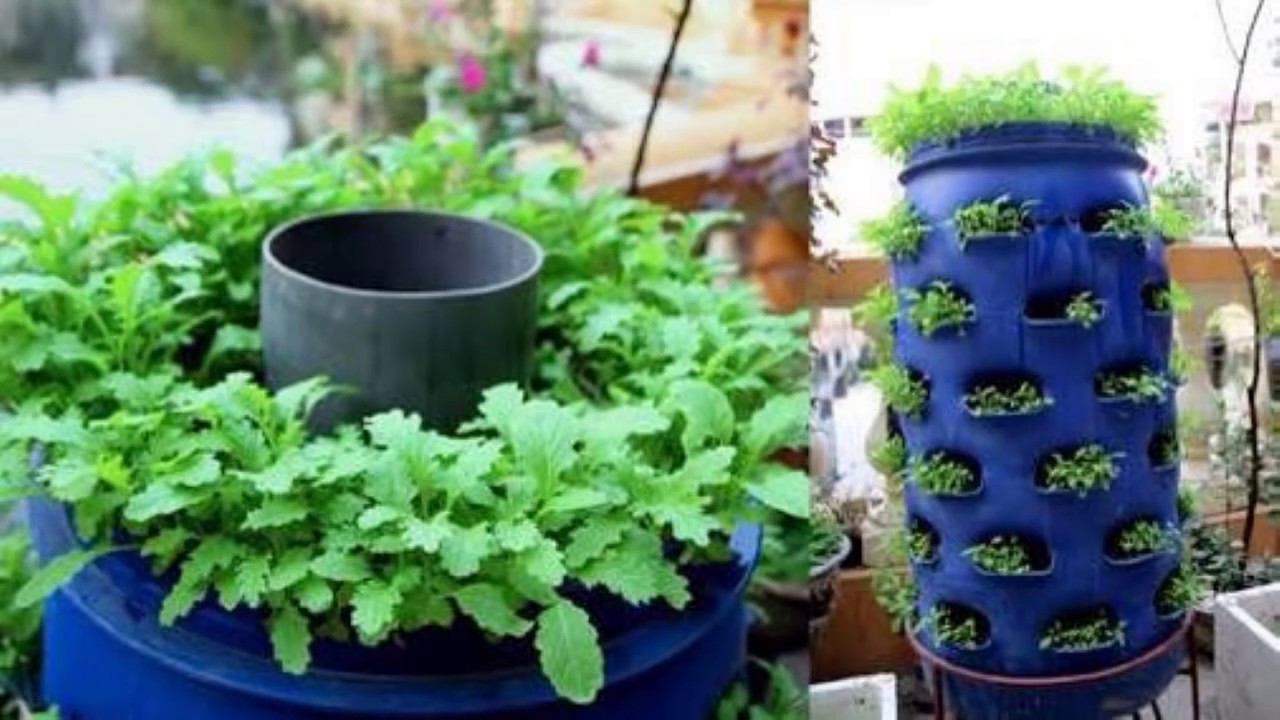 Creative Vegetable Gardening Ideas – Patio and Container Gardening Ideas