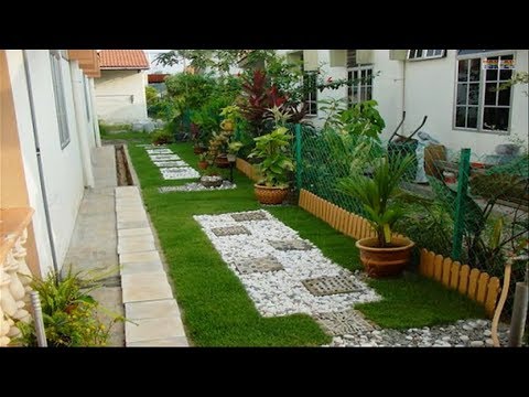 Easy Garden Planning Ideas – Planting House Plants That Are Easy to Take Care Of