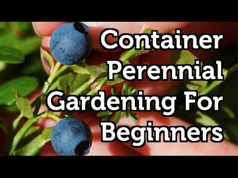 Perennial Container Gardening Ideas