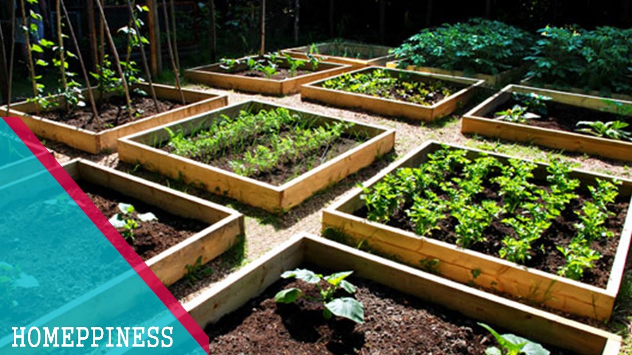 Vegetable Gardening Ideas On A Budget