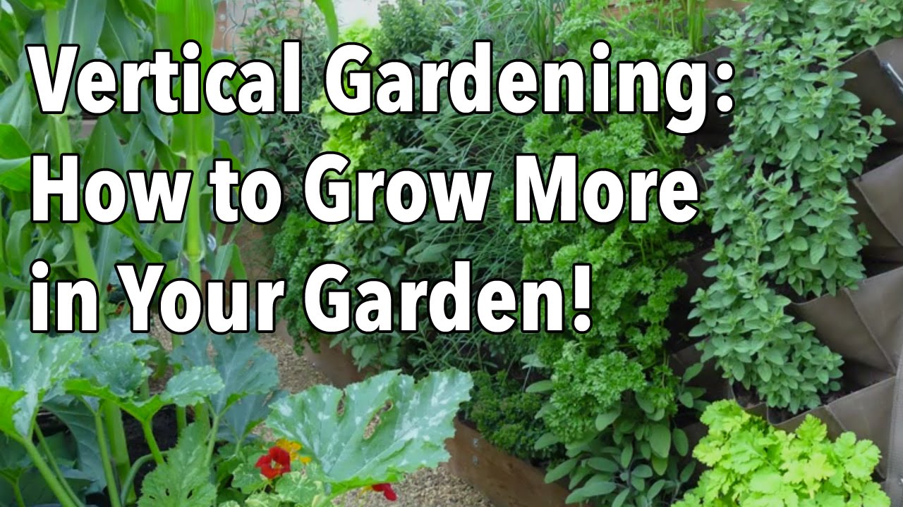 Vertical Vegetable Gardening Ideas