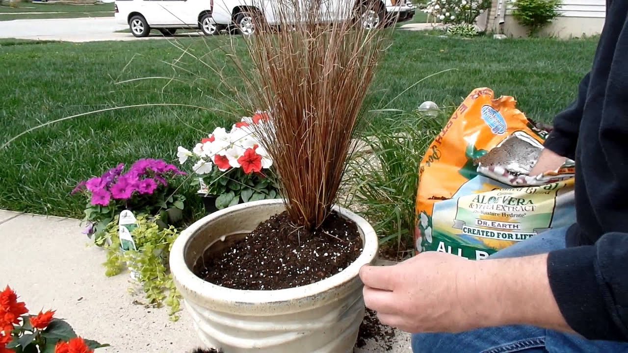 Beginner Tips On Container Gardening Ideas