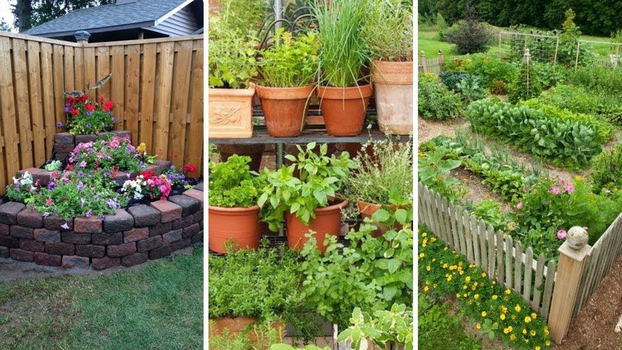 Creative Vegetable Gardening Ideas