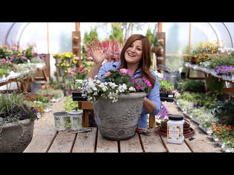 Easy Container Gardening Ideas For Sun and Shade