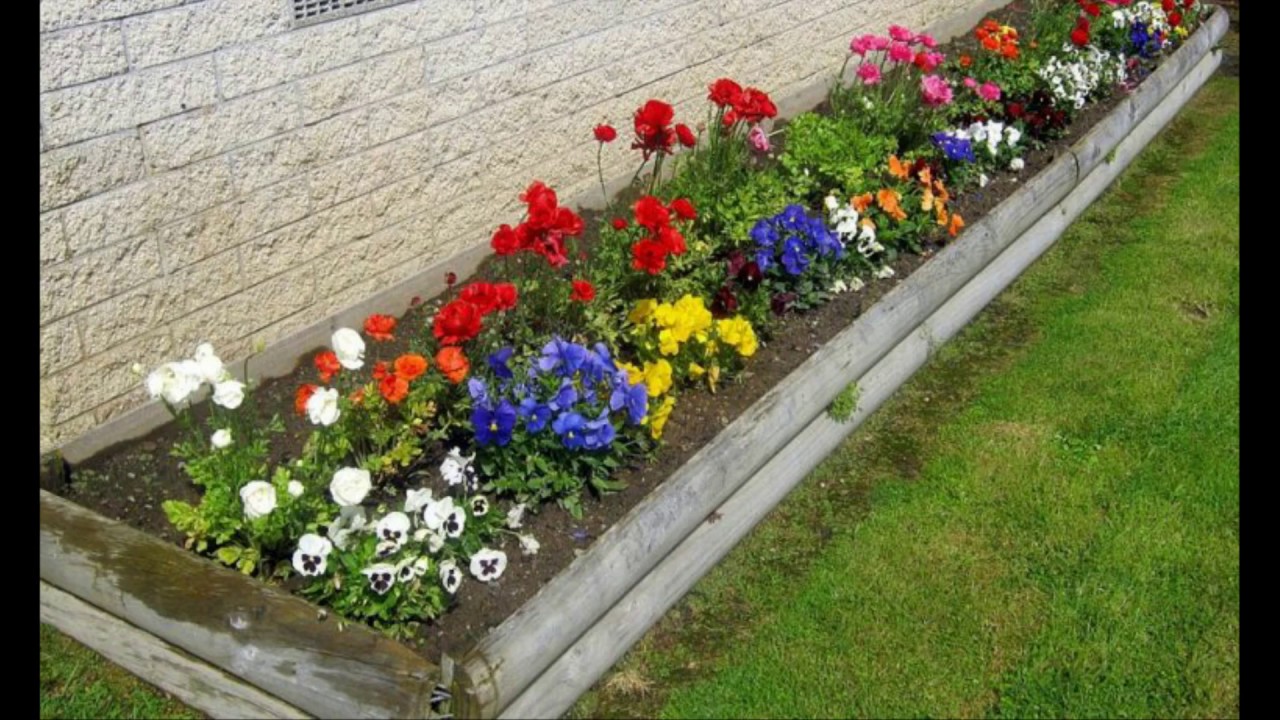 Flower Garden Planning Ideas for Your Backyard