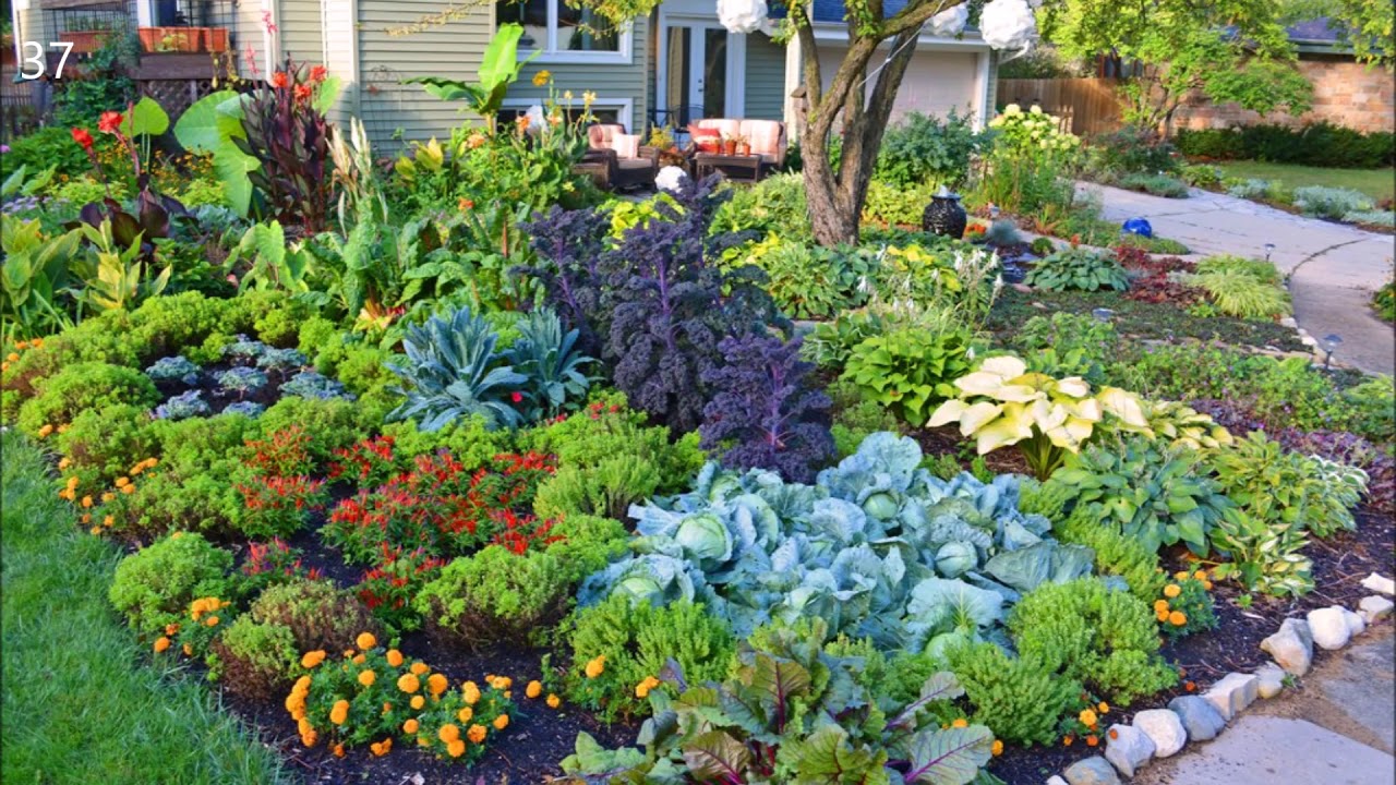 Food Garden Planning Ideas