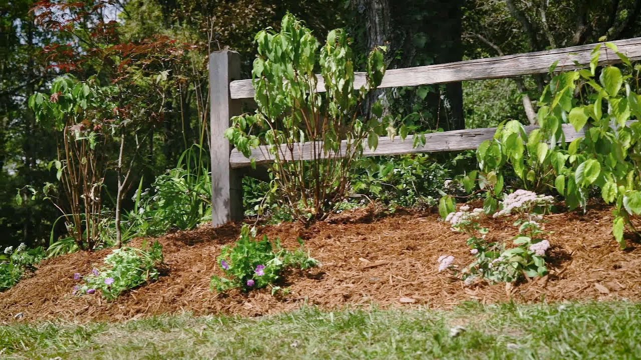 How To Use Planting Trees And Garden Shrubs To Enhance Curb Appeal