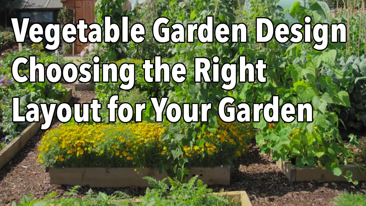 Vegetable Gardening Ideas Layout That Will Last You Year Long