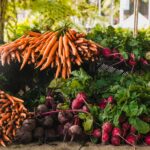 Easiest Vegetables to Grow in your Backyard
