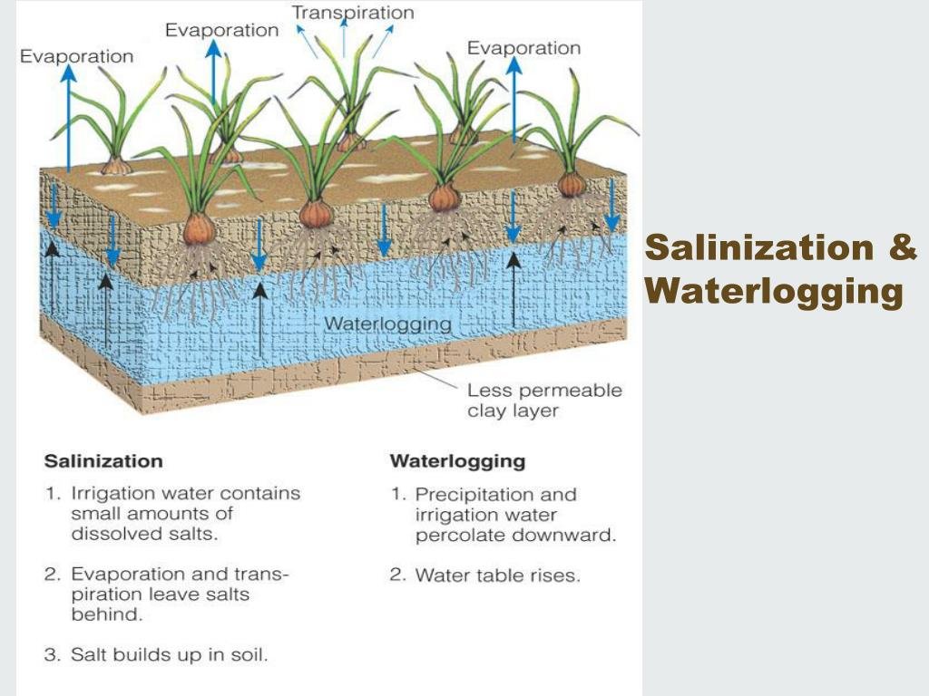 Waterlogging explanation diagram